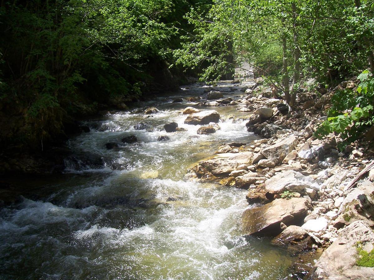 Yagodina Family Hotel Dış mekan fotoğraf
