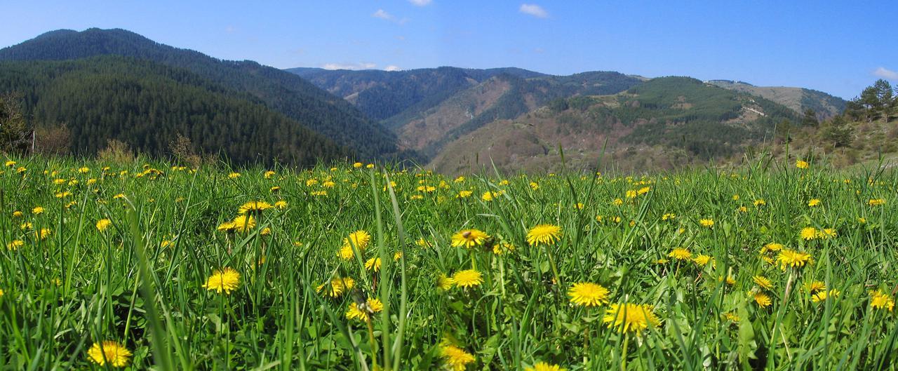 Yagodina Family Hotel Dış mekan fotoğraf