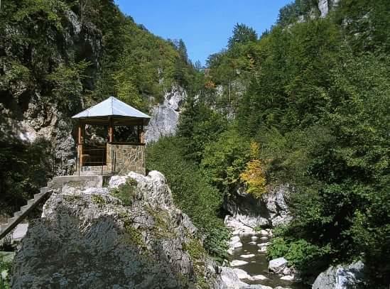 Yagodina Family Hotel Dış mekan fotoğraf